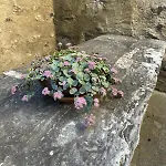 Appartamento Il Nido Tirano
